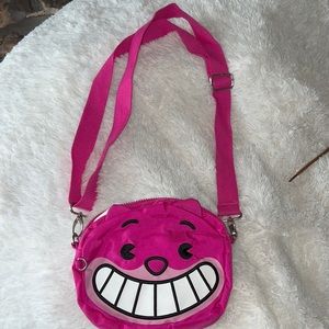 Disney/Alice in wonderland cat bag.